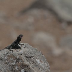 30.3.2013 231